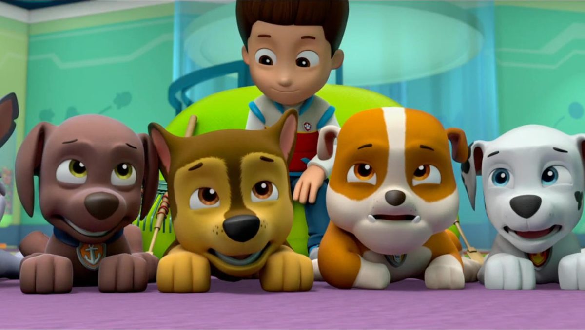 De pups van Paw Patrol